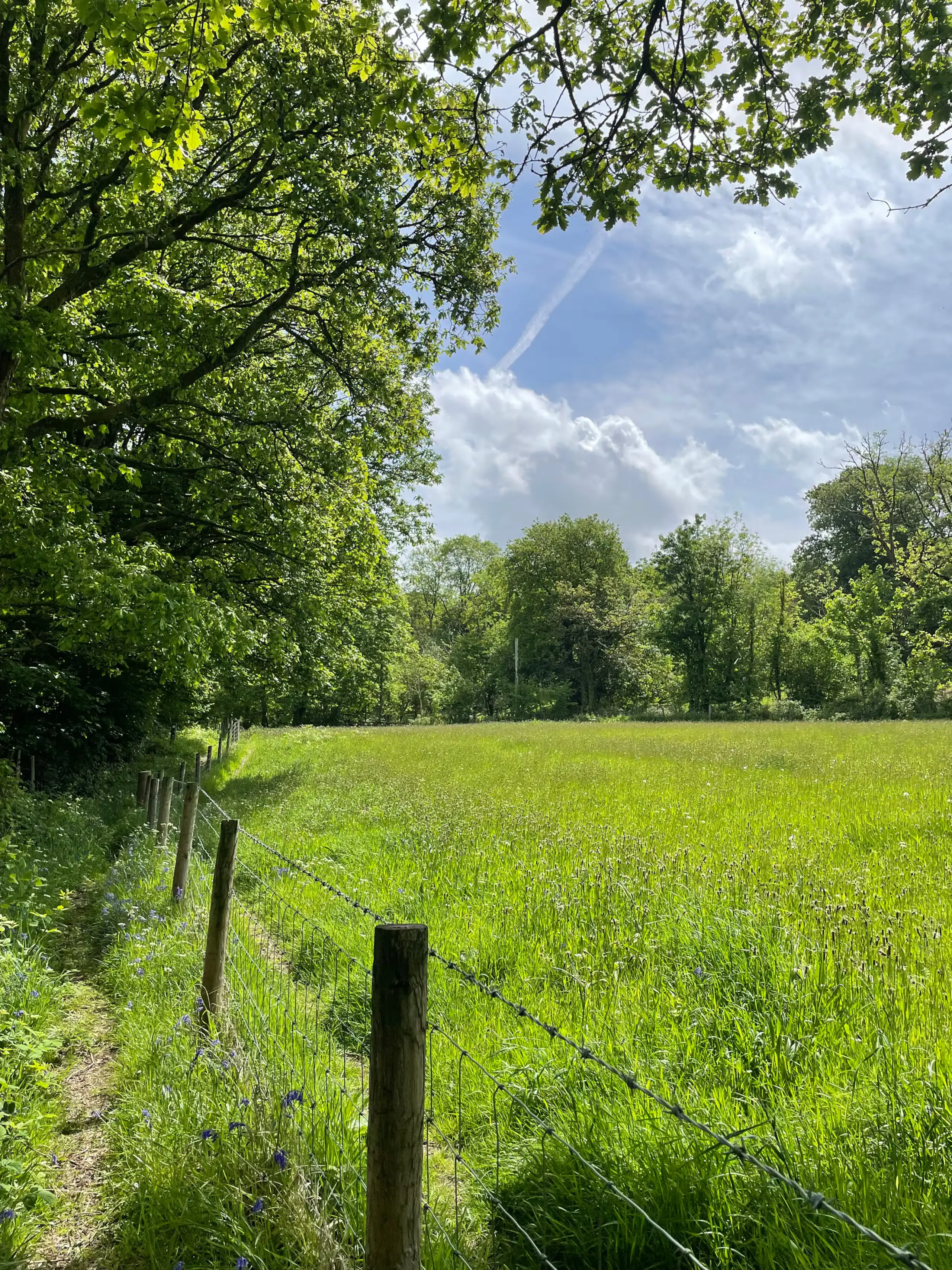 Footpath beside a green riverside meadow near Abercraf